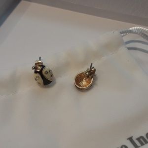 Lady bug earrings